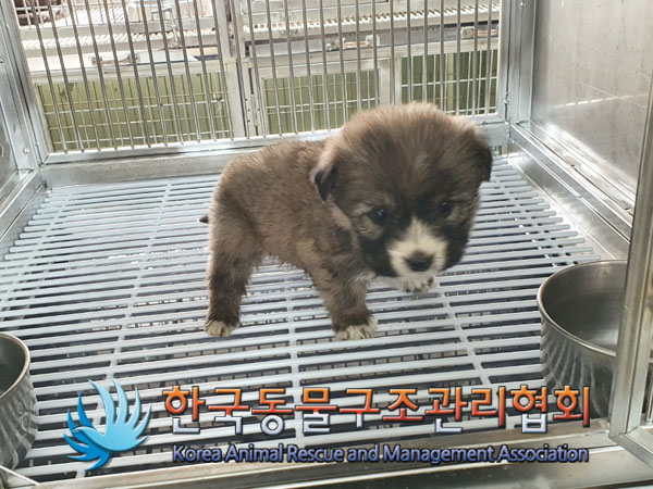 종료(자연사) 믹스…
